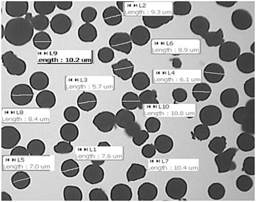 Figure 2. Particle size analysis of ondansetron hydrochloride-loaded microspheres.