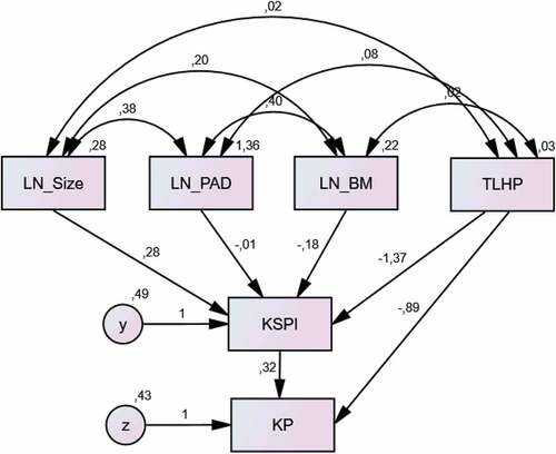 Figure 1. Results of data processing with path analysis.