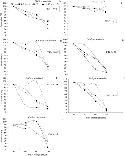 Figure 1. Germination of Cattleya crispata (A), C. rupestris (B), C. schilleriana (C), C. tenebrosa (D), C. loddigesii (E), C. intermedia (F) and C. warneri (G) seeds after being equilibrated at 11% RH and stored for nine months under four storage conditions: room temperature (RT, 23 ± 2 °C), 5 °C, –18 °C and liquid nitrogen (LN, –196 °C).