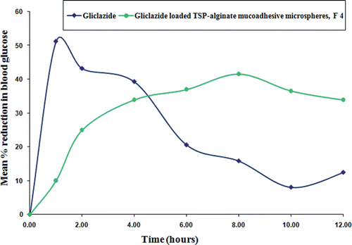 Figure 10.  Comparative in vivo mean percentage reduction in blood glucose level in alloxan-induced diabetic rats after oral administration of pure gliclazide and gliclazide loaded TSP-alginate mucoadhesive microspheres (F4) (mean ± SD, n = 3).