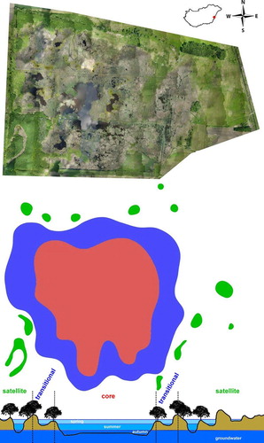 Figure 1. Orthophoto of the Biharugra marsh system (top). The red dot in the inset marks the location of the study site in Hungary. Schematic map of the study site (middle) with unit types: Satellite Unit (green), Transitional Unit (blue), and Core Unit (red). The schematic vertical section of the Biharugra marsh system (bottom) with the hydrologic and hydraulic connections between the Units.