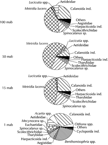 Figure 4.  Composition of Copepoda (based on abundance) at the sampling layers in August 1998.