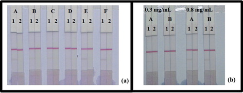 Figure 7. Optimization of LFIA in fish. (a) Result using six kinds of reagents; (A) PVP, (B) PEG, (C) BSA, (D) Brij-35, (E) Triton X-100, and (F) Rhodasurf® On-870. (b) The dosage of the mAb that added in GNP; (A) 10 µg/mL, and (B) 8 µg/mL. Standard concentration; (1) 0 µg/mL, and (2) 5 µg/mL.