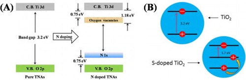 Figure 2. Schematic illustration of the energy band structures (A) TiO2 and N-doped TiO2, (B) TiO2 and S-doped TiO2. Adapted from references ( Citation25) and ( Citation26) with permissions. Copyright 2014 and 2015, Elsevier Ltd.