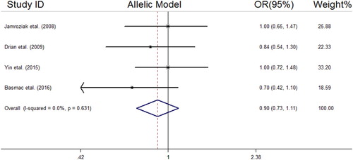Figure 4. Forest plot of association between MDR1 (rs1045642 C > T) SNP and MM risk under the allelic model.
