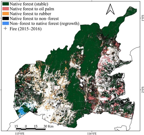 Figure 8. Native forest conversion to non-forest, oil palm and rubber plantations, and native forest regrowth from 2000 to 2018 in Kalimantan.