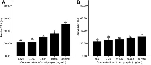 Figure 8 Effects of cordycepin on CSH of C. albicans biofilm. (A) Addition of cordycepin before biofilm formation; (B) Addition of cordycepin after biofilm formation. Error bars represent the standard deviations, and different letters represent statistical differences among bars (n = 3, P < 0.05).