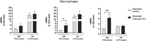 Figure 4. Changes in mRNA cytokine expression of absorbed COLPROPUR D® samples in M0 and M1 macrophages after 24 h in contact. **p ≤ 0.01; *p ≤ 0.05. n = 5.