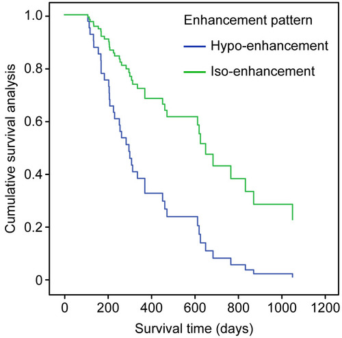 Figure 3 Survival analysis of the hypo- and iso-enhancement groups.