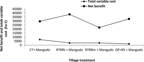 Figure 8. Partial budget analysis at Alemtena. Abbreviations: CT, conservation tillage (5 times pass), RTRRt: reduced tillage residue retained, RTRRm: reduced tillage residue removed, OP+RS, one plow +round up spray in 2015, 2016 and 2017 cropping season