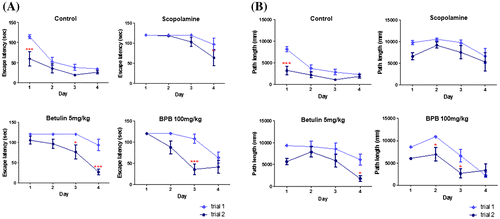 Fig. 2. Effects of betulin and BPB on the scopolamine-induced amnesic mice in the Morris water maze test.