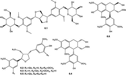 Figure 7. Structures of lignans (6.1–6.6) reported in the genus Salsola.