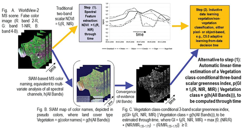 Figure 33. Phenological transitions in time: traditional driven-without-knowledge versus innovative driven-by-knowledge (stratified, masked, class-conditional) inductive data learning approach to either pixel-based or image object-based vegetation/not-vegetation classification through time, in a time series of, for example, 8-band WorldView-2 multi-spectral (MS) images. Traditional approach (Huth et al., Citation2012): Step (1) = Driven-without-knowledge vegetation spectral index extraction (see Figure 7) through time, either pixel-based or image object-based. In more detail, the well-known two-band Normalized Difference Vegetation Index (NDVI) (Jordan, Citation1969; Liang, Citation2004; Neduni & Sivakumar, Citation2019; Rouse et al., Citation1974; Sykas, Citation2020; Tucker, Citation1979) is employed, where NDVI ∈ [−1.0, 1.0] = f1(Red, NIR) = (NIR0.78÷0.90 – Red0.65÷0.68)/(NIR0.78÷0.90 + Red0.65÷0.68), which is monotonically increasing with the dimensionless Vegetation Ratio Index (VRI), where VRI ∈ (0, +∞) = NIR0.78÷0.90 / Red0.65÷0.68 = (1. + NDVI)/(1. – NDVI) (Liang, 2002), see Table 3. Hence, NDVI = f1(R, NIR) is conceptually equivalent to the angular coefficient (1st-order derivative) of a tangent to the spectral signature in one point (Baraldi, Citation2017, Citation2019a; Baraldi et al., Citation2010a, Citation2010b, Citation2018a, Citation2018b, Citation2006; Baraldi & Tiede, Citation2018a, Citation2018b; Liang, Citation2004). Step (2) = Pixel- or object-based supervised NDVI data classification, equivalent to posterior probability p(c = Vegetation class | NDVI = f1(R, NIR)), e.g. C5.0 supervised data learning decision tree classification (Huth et al., Citation2012). As viable alternative to the aforementioned step (1), for vegetation detection purposes, the traditional univariate two-band NDVI analysis through time is replaced by a more informative and more efficient class-conditional multi-variate data analysis of all spectral channels through time. In practice, automatic linear-time estimation of a class-conditional scalar greenness index (GI), p(GI = f9(R, NIR, MIR1) | Vegetation class = g(h(All Bands))), can be applied through time for within-vegetation class discrimination, based on: (i) a three-band scalar greenness index, GI, equivalent to a (downward) concavity (2nd-order derivative) centered on the NIR waveband = f9(R, NIR, MIR1) ∈ [0,∞) = max {0, (NIR/R) + (NIR/MIR1.55÷1.75) − (R/MIR1.55÷1.75)} ≥ 0 (Baraldi et al., Citation2010a) (see Table 3), (ii) a Vegetation class, estimated (with approximation) by a logical-AND/OR combination of Satellite Image Automatic Mapper (SIAM)’s color names (see Figure 32), where each SIAM color name = h(All Bands) (Baraldi, Citation2017, Citation2019a; Baraldi et al., Citation2010a, Citation2010b, Citation2018a, Citation2018b, Citation2006; Baraldi & Tiede, Citation2018a, Citation2018b) (see Figure 30), hence, Vegetation class ≈ g(color names) = g(h(All Bands)), see Figure 32.