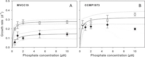Fig. 4. Dependence of growth rates on phosphate concentrations (0.5, 1, 2, 5 y 10 µM) in two pulse patterns; single pulse (SingleP: closed circles) and sequence of 10 pulses (TenP: open circles). Solid lines represent the data fit obtained with eq. 2 and the dotted line corresponds to the 95% confidence interval. Bars represent standard deviation. Growth parameters are shown in Table 1.