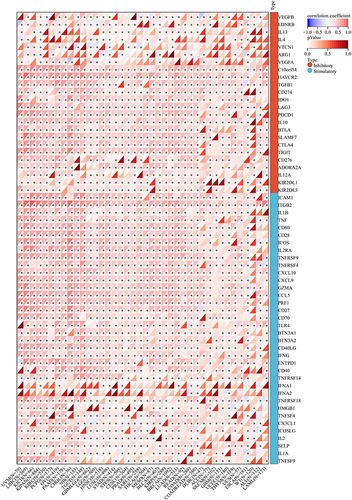 Figure 10 Correlation between COTL1 expression with immunological checkpoints gene (*p<0.05).