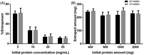 Figure 2. (A) Hb entrapment efficiency of MnCO3 template. (B) The absolute amount of entrapped protein by different initial Hb concentration. Hb content of Hb-MnCO3 was independent of the initial protein amount and it was not able to increase by increasing the initial Hb concentration. Data are presented as mean ± SD (n = 5).