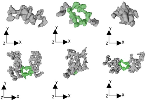 Figure 3. Two 3D models of soot from three different angles. The observed ring structure is highlighted in green. Top: aggregate A; bottom: aggregate F.