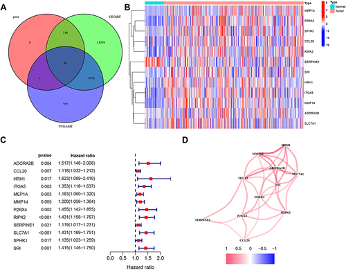 Figure 1 The 12 inflammation-associated differentially expressed genes identified in HCC. (A). A Venn diagram was used to identify 49 significant differentially expressed genes from TCGA, GSE87630, and inflammation-associated genes. (B). Heatmap of the expression levels of 12 candidate genes in HCC (red) and adjacent non-tumor tissue (blue). (C). Forest plot of the relationship between the expression of 12 genes and overall survival in HCC. All 12 genes were risk factors (hazard ratio >1). (D). Construction the protein-protein interaction network of 12 genes. Among these, 11 interacted with each other.