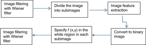 Figure 1 Flowchart summarizing the proposed algorithm.