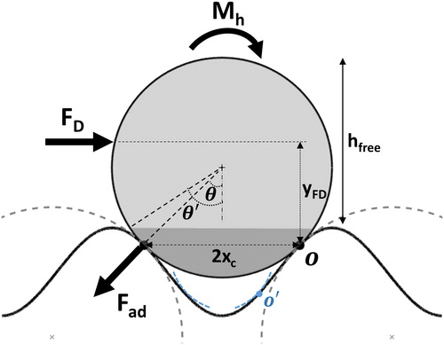 Figure 3. Schematic of spherical particle in contact with sinusoidal surface and corresponding force balance of hydrodynamic and adhesion forces. The contact surface curvatures are shown at two points. At the point O, the contact is a convex-convex contact while as the particle moves into the asperity, the contact eventually becomes concave-convex, as shown at O'.