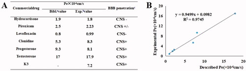 Figure 7. PAMPA-BBB penetration study of K3. (A) Results of the PAMPA-BBB assay for six commercial drugs used in the experimental procedure validation and K3. (B) Linear correlation presenting experimental versus bibliographic data of commercial drugs. aBibl. values are reported data from the reference; bAll tests were obtained from three independent experiments; c“CNS +” (high BBB permeation): Pe (× 10‒6 cm/s) > 4.0; “CNS +/‒” (uncertain BBB permeation): Pe (× 10‒6 cm/s) from 2.0 to 4.0; “CNS ‒” (low BBB permeation): Pe (× 10‒6 cm/s) < 2.0.