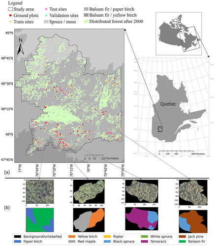 Figure 1. Study area: east of Val-d’Or city, Quebec province, Canada. (a) The location of the study area and reference data provided by photo interpretation. The ground plots have been used for independent validation in this study. Bioclimatic domains of Quebec province and disturbances information provided by Ministère des Ressources naturelles et des Forêts (MINISTÈRE DES RESSOURCES NATURELLES ET DES FORÊTS Citation2017). (b) Examples of aerial imagery with a spatial resolution of 30 cm and the corresponding reference data provided by photo interpretation.