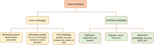 Figure 4. Types of smart packaging system.