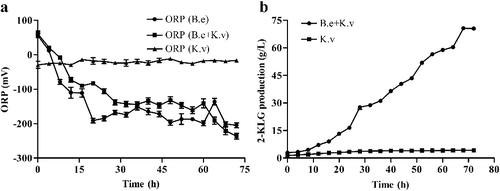 Figure 2. Variations in ORP (a) and 2-KLG (b) production in mono- and co-cultures fermentation systems.