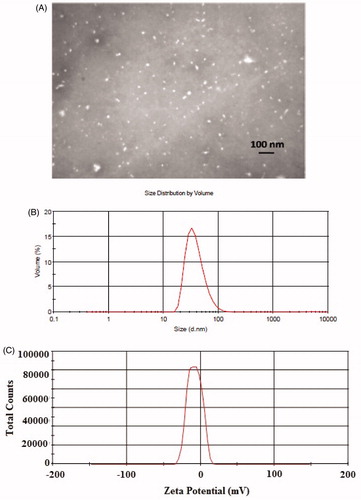 Figure 1. (A) TEM image of quercetin nanocrystals. The size of quercetin nanocrystals was in the range of 30–60 nm with the average size 50 nm. (B) Dynamic light scattering (DLS) of the quercetin nanocrystals. (C) Zeta potential of nanoparticles with the average amount of −24 mV.