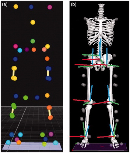 Figure 1. (a) Experimental marker set-up. (b) experimental model with segment co-ordinate axes (red = sagittal, green = coronal and blue = transverse axes).