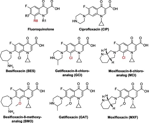 Figure 1 Chemical structure of the fluoroquinolones tested in this study.