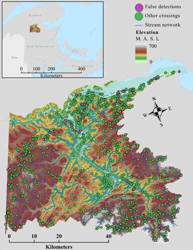 Figure 4. Stream-road crossings and false detections based on the results of the LiDAR crossings model in the Restigouche catchment, New Brunswick, Canada.