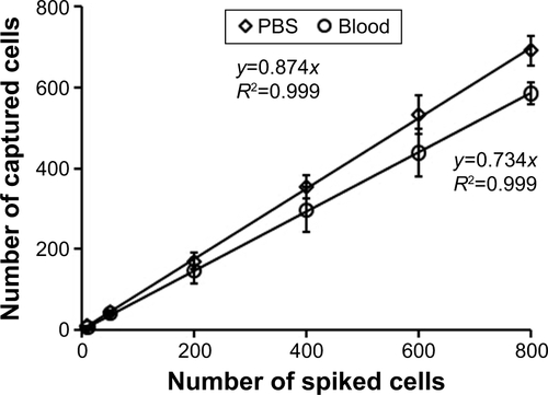 Figure S2 Dynamic ranges of the anti-EpCAM-coated Ap-P-SiNWS chips using a series of artificial NSCLC CTC samples that were prepared by spiking PBS and healthy donor’s blood with DIO-stained HCC827 cells.Abbreviations: Ap-P-SiNWS, aptamer–PNIPAM-SiNWS; CTC, circulating tumor cell; DIO, 3,3′-dioctadecyloxacarbocyanine; EpCAM, epithelial cell adhesion molecule; PBS, phosphate-buffered saline; PNIPAM, poly (N-isopropylacrylamide); SiNWS, silicon nanowire substrates.