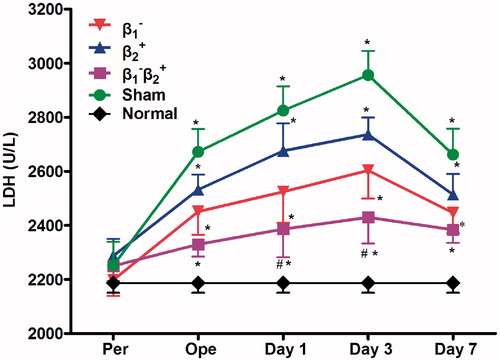 Figure 5. Combined use of selective β1AR blocker and β2AR agonist decreased the release of LDH in the perioperative period. Each value represents the mean ± SD. n = 10 rats in each group. *p < 0.05 versus normal group at corresponding time point; #p < 0.05 versus surgery group at corresponding time point; Pre: day 3 after administration (pre-operation); Ope: intra-operation; Day 1: day 1 after surgery; Day 3: day 3 after surgery; Day 7: day 7 after surgery.