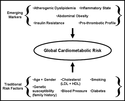 Figure 1.  Schematic representation of the assessment of global cardiometabolic risk using traditional risk factors and emerging cardiovascular disease risk markers.