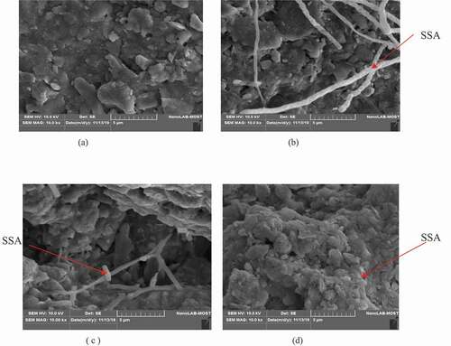 Figure 19. Results of SEM analysis for clayey soil paste specimens with curing time of 14 days and SSA content of (a) SSA = 0%, (b) SSA = 10%, (c) 15%, and (d) 20%