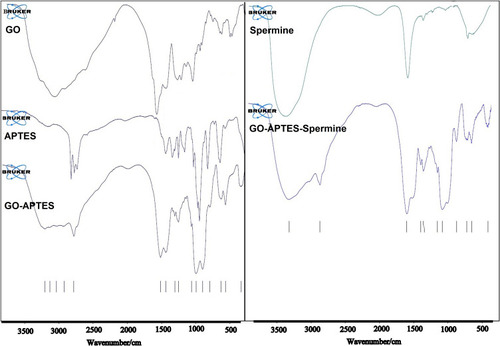 Figure 2 FTIR spectra analysis of GO, APTES and GOA, Spermine and functioning of GO-APTES by Spermine.