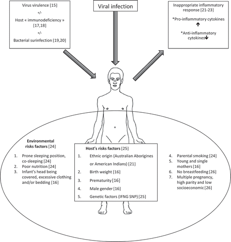 Figure 1. Pathophysiology of sudden death involving respiratory viruses combines infectious and inflammatory parts. The severity of the viral infection is facilitated by the virulence of the virus itself but also by the host immunodeficiency. This, in turn, facilitates super-infections by bacteria producing endo- and exotoxins. The immunopathological part consists of inappropriate pro-inflammatory cytokines secretion conjugated to a deficit in anti-inflammatory cytokines. It causes the appearance of inflammatory lesions commonly seen in the respiratory tract of deceased individuals. These mechanisms in addition to genetic and environmental factors may lead to the sudden death.