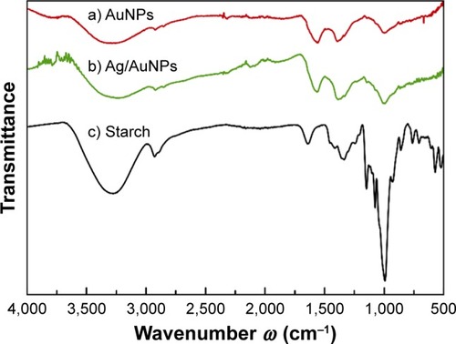 Figure 1 FT-IR spectra of samples (a) AuNPs, (b) Ag/AuNPs and (c) pure starch.Abbreviations: AgNPs, silver nanoparticles; AuNPs, gold nanoparticles; FT-IR, Fourier transform infrared.