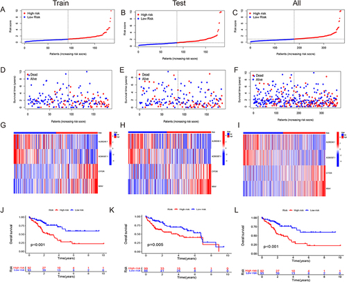 Figure 3 The predictive value of HCC is being evaluated and validated in testing, training, and all sets. (A–C) Increasing risk scores are shown in the patient distribution. (D–F) Patient survival rates and risk levels. (G–I) The heat map shows the expression of four important lncRNAs with rising risk scores. (J–L) OS of HCC patients were compared between high- and low-risk sets using the Kaplan-Meier method.