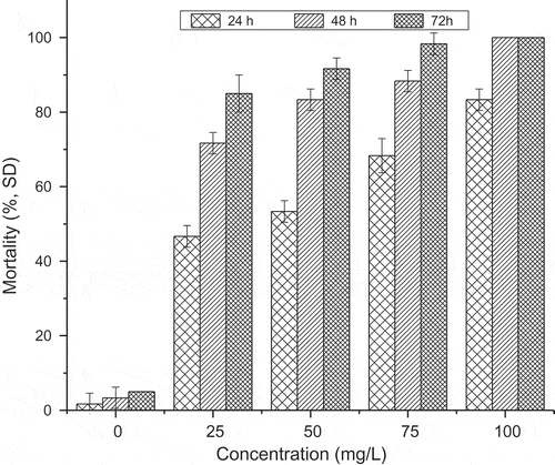 Figure 1. Mortality rates of worker termites, at three time intervals (24, 48 and 72 h) post treatments with different (25, 50, 75 and 100 mg/L) P. juliflora leaf extract.