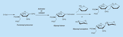 Figure 1.  General strategy for the synthesis of Galf-containing molecules.