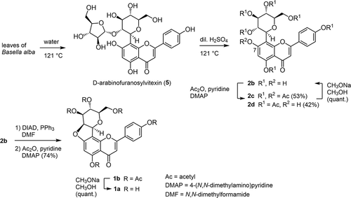 Scheme 2. Semisynthesis of chafuroside B (1a) via vitexin (2b), from hot water extract of Basella alba leaves.