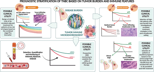 Figure 1. Prognostic stratification of triple-negative breast cancer based on tumor burden and immune features (Created with BioRender.com).