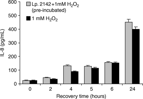 Figure 1.  Influence of pre-incubation with L. plantarum 2142 on hydrogen peroxide-induced IL-8 synthesis of Caco-2 cells. Caco-2 cells were pre-treated with L. plantarum 2142 for 1 h. After removing lactobacilli by washing with plain DMEM, Caco-2 cells were exposed to 1 mM hydrogen peroxide for 1 h. Caco-2 cells exposed to 1 mM hydrogen peroxide for 1 h without pre-treatment served as positive control. After hydrogen peroxide was removed by washing, cells were allowed to recover in plain DMEM medium for up to 24 h. In the supernatants IL-8 was determined. Mean and SD of triplicates are given. There were no significant differences (p<0.05) between the IL-8 levels in the lactobacilli pre-treated cells and non-pre-treated cells.