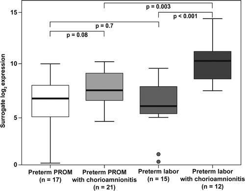 Figure 1.  α-defensin 1 mRNA expression in the fetal membranes of patients with spontaneous preterm labor (PTL) or preterm prelabor rupture of membranes (PPROM). In the presence of histologic chorioamnionitis, there was an increased expression among patients with preterm labor with intact membranes (19.4-fold, p < 0.001) or PPROM (2.7-fold, p = 0.08). The amount of α-defensin 1 mRNA was higher in the fetal membranes of patients presenting with preterm labor with intact membranes and histologic chorioamnionitis than in patients with PPROM and histologic chorioamnionitis (5.5-fold, p = 0.003).