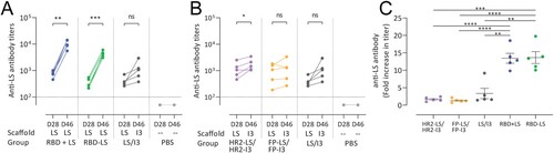 Figure 4. Anti-scaffold antibody responses in sera of vaccinated rabbits. Anti-lumazine synthase (LS) scaffold antibody titres following (A) homologous prime boost in monomeric RBD + LS and multimeric RBD-LS vs heterologous LS/I3 prime boost in control LS/I3 as well as (B) HR2-LS/I3 and FP-LS/I3. Shown are (average ± s.e.m. of n = 5 rabbit/group) antibody titres 4 weeks after prime (day 28, D28) and 3 weeks after boost (day 46, D46) as measured by ELISA. (C) Fold increase (from prime, day 28) in anti-LS antibody titres following boost vaccination (day 46). A paired t-test was performed to determine significant increases in antibody titres post-prime and post-boost within groups (A, B), and an unpaired t-test was performed to determine significant changes in titres between groups (C), with asterisks indicating the level of significance.*P ≤ 0.05, **P ≤ 0.01, ***P ≤ 0.001, ****P ≤ 0.0001. The dotted lines represent the limits of detection. HR2, heptad repeat 2; FP, fusion peptide; LS, lumazine synthase 60-meric particles; I3, I3-01 60-meric particles; RBD, receptor binding domain; RBD + LS, monomeric uncoupled RBD; RBD-LS, multimeric RBD coupled to LS through covalent SpyTag/SpyCatcher.