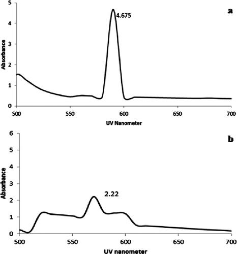 Figure 1. Absorbance at 590 nm for copper nanoparticles synthesised by Streptomyces griseus cells. (a) Sample and (b) control.