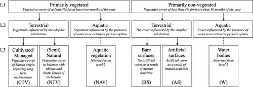 Figure 1. The modified LCCS Level 3 hierarchical structure with FAO LCCS-2 definitions suitable for land cover products derived from EO data. The dotted line for aquatic vegetation and waterbodies indicates that the land cover class is not differentiated from the Level 2 land cover type. L1; Level 1, L2; Level 2, L3; Level 3.