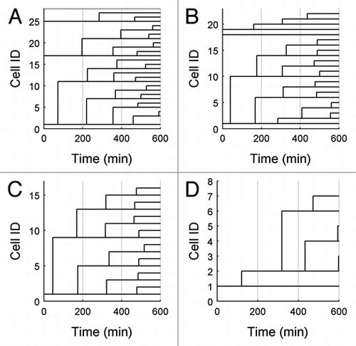 Figure 5 Dendrographs for typical cells. Example lineages of three wild-type cells (A) and three mutant cells (B), demonstrating the various proliferation patterns observed. Dendrographs from simulated wild-type and mutant cells are shown in (C and D), respectively, for comparison. In the figure, branch points occur at new budding events, for the experimental data, and at division events for simulations. Cell ID is an arbitrary identifier used for cell tracking.